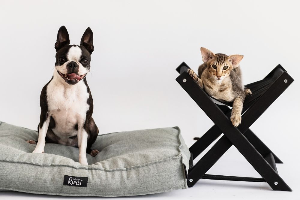 Photograph by Юлия Калугина