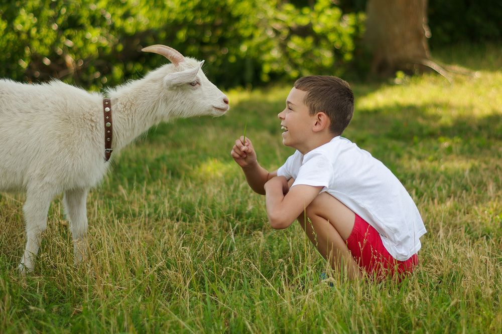 Photograph by Марина Миронова