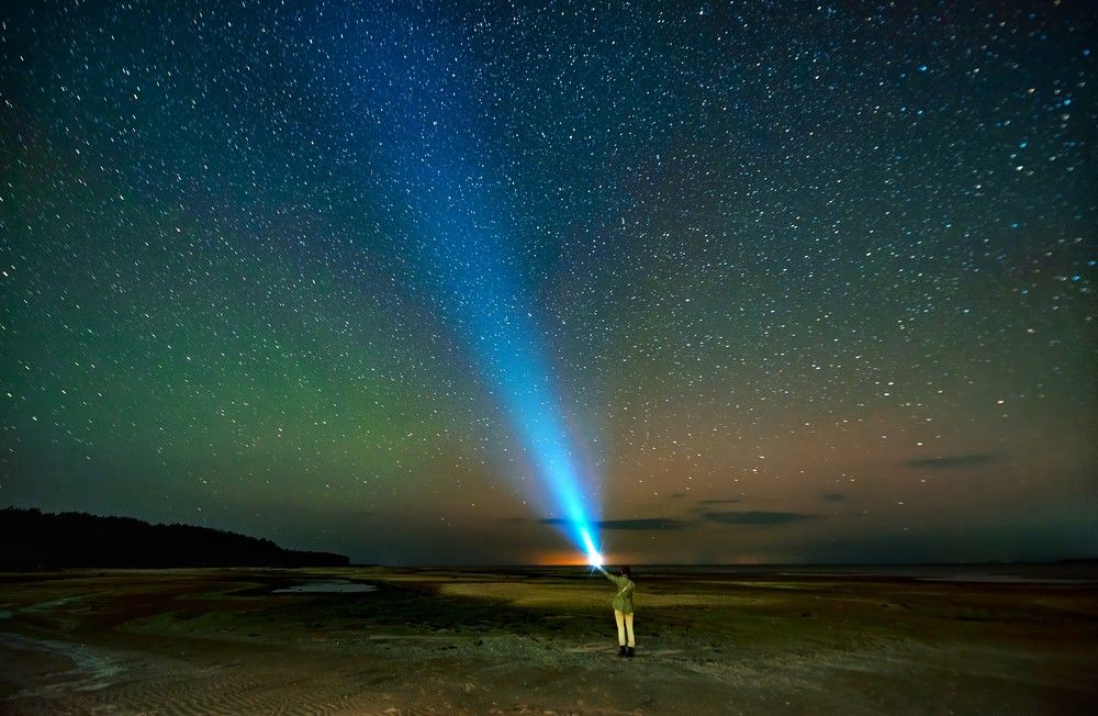 Фотография автора Дарья Васильева
