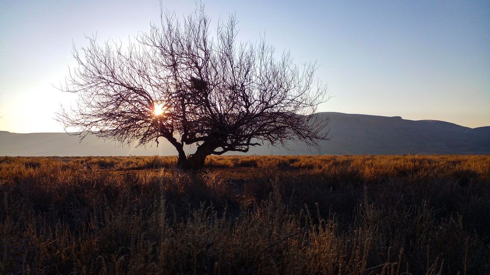 Photograph by Reza Mehdipoor