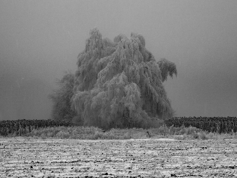 Photograph by Степанов Евгений