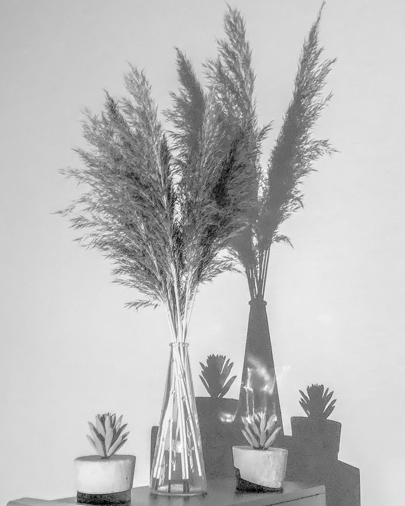 Photograph by Надежда Смирнова