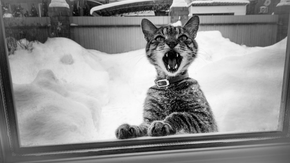 Photograph by Андрей Кузин