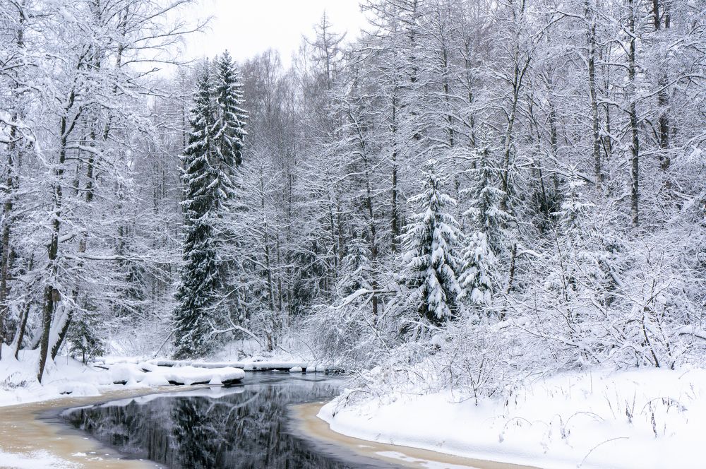 Фотография автора Екатерина Кожевникова