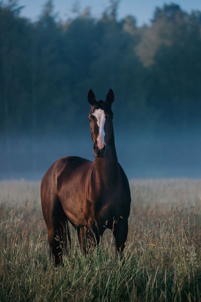 Photograph by Кристина Ксендзова