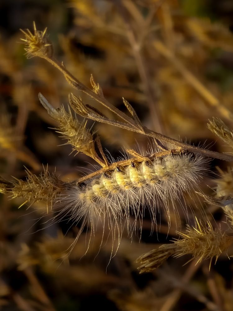 Photograph by Лариса Когтева