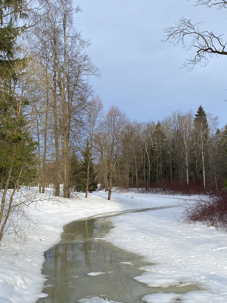 Photograph by Анна Зернова