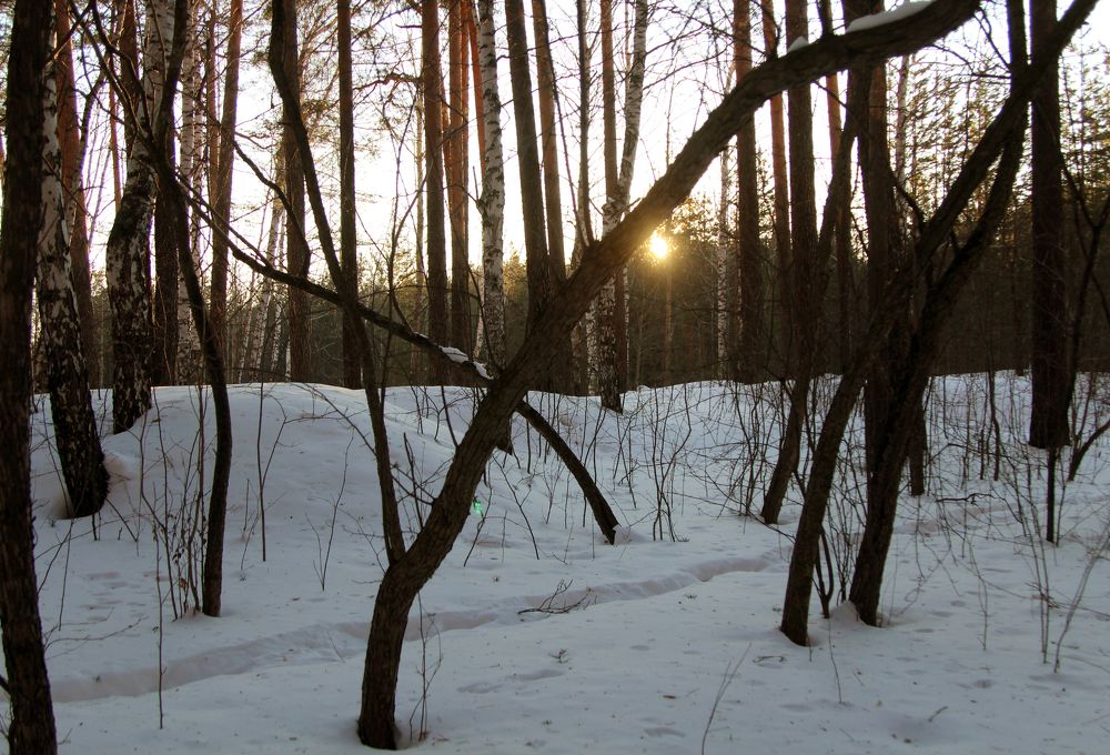 Photograph by Баженова Наталья