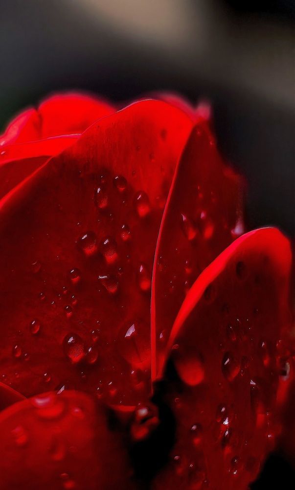 Photograph by Анна