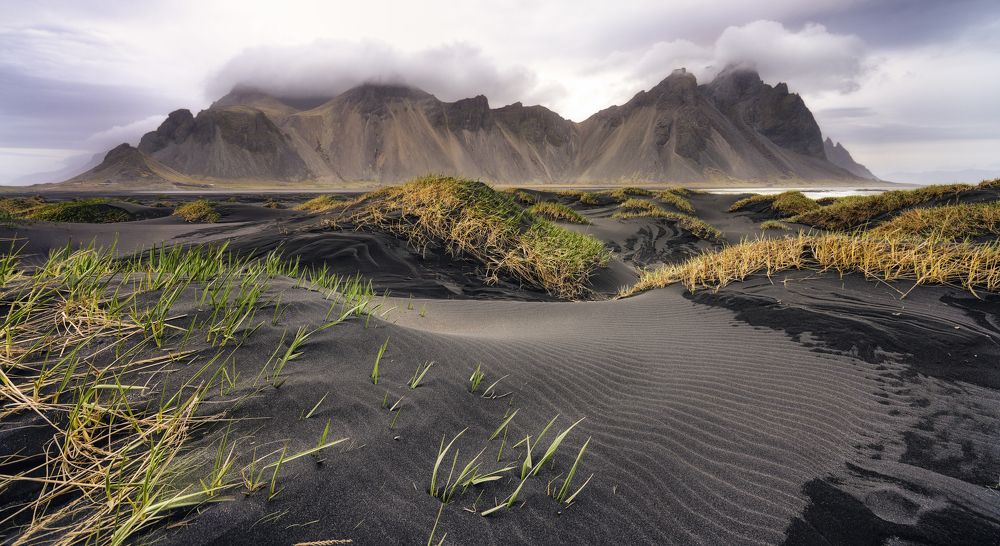 Photograph by Mariana Martin