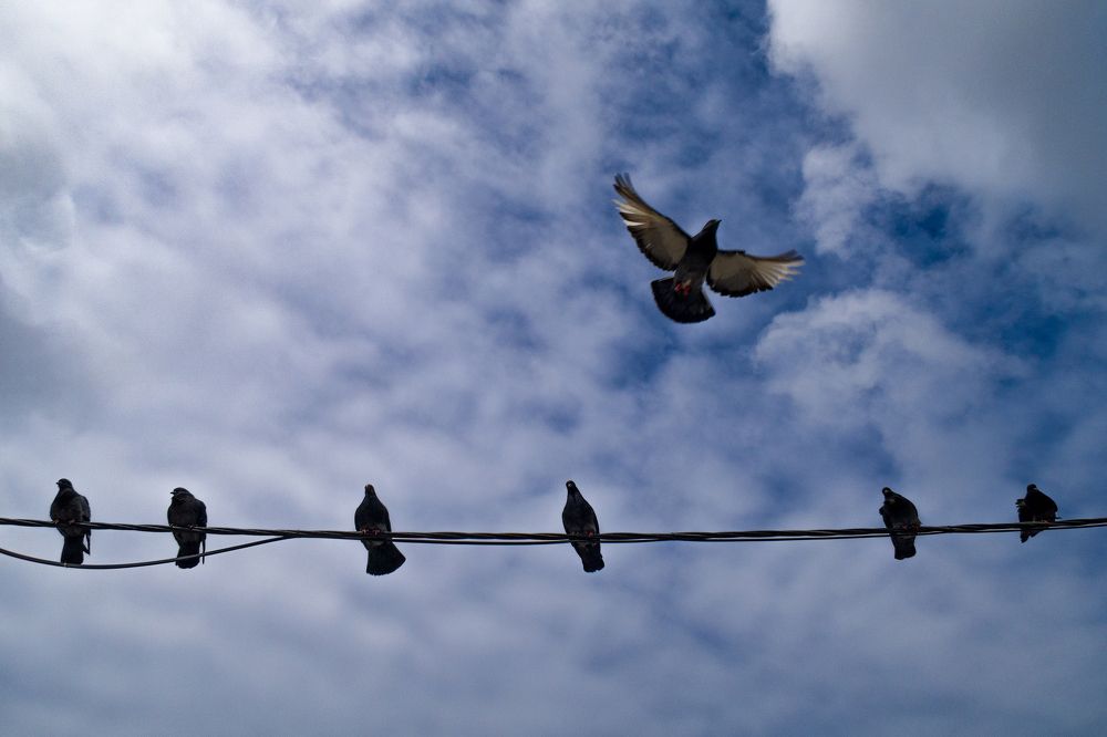 Скамейка запасных / Subs' bench