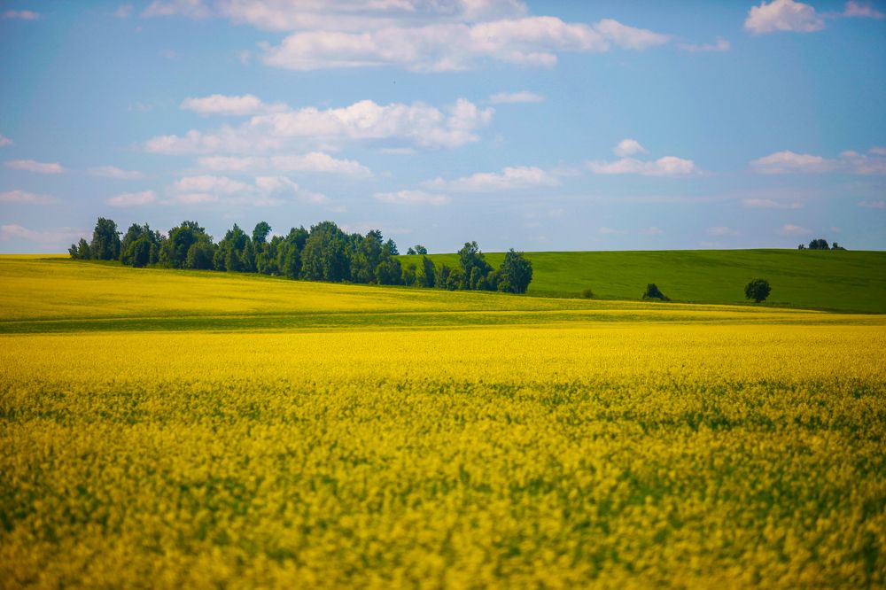 Photograph by Александр Ермаченко