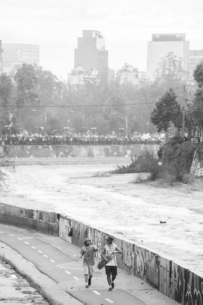 Veins full of freedom