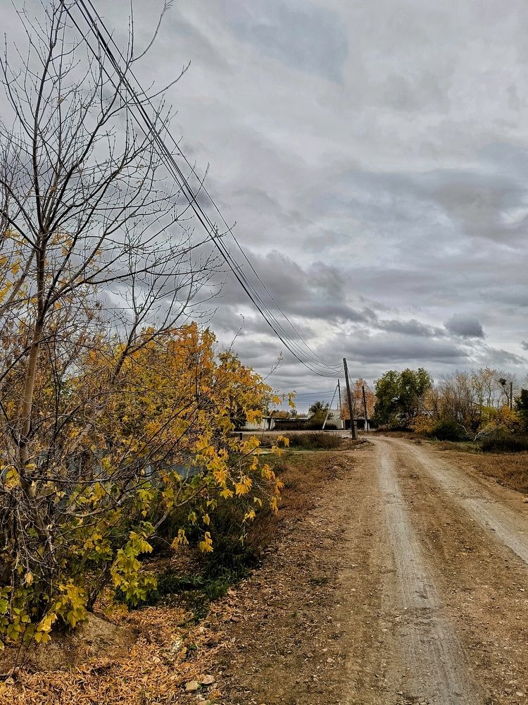 Photograph by Кулешова Анастасия