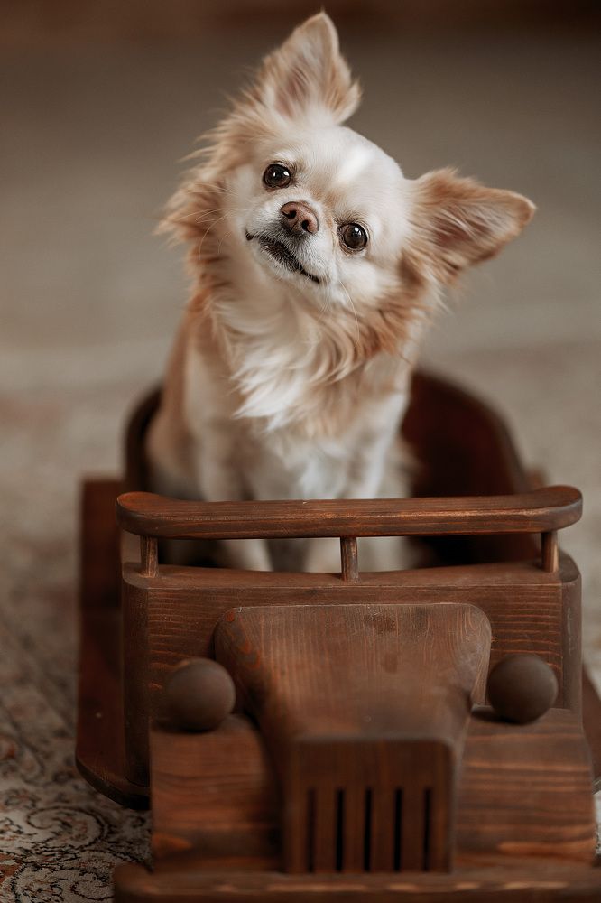 Photograph by Silvia Mikheeva