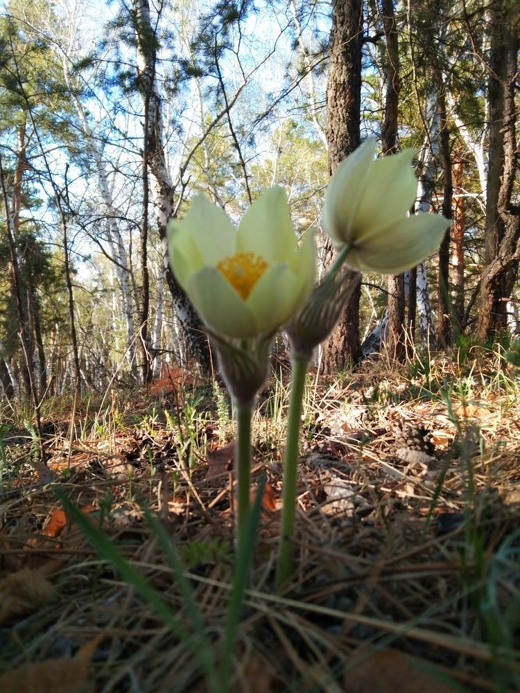 Photograph by Кулешова Анастасия