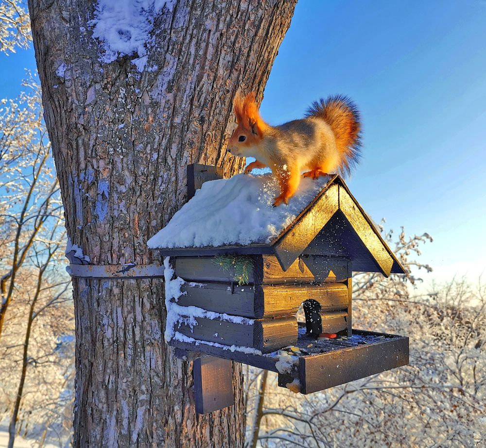 Photograph by Vladislav Rogalev