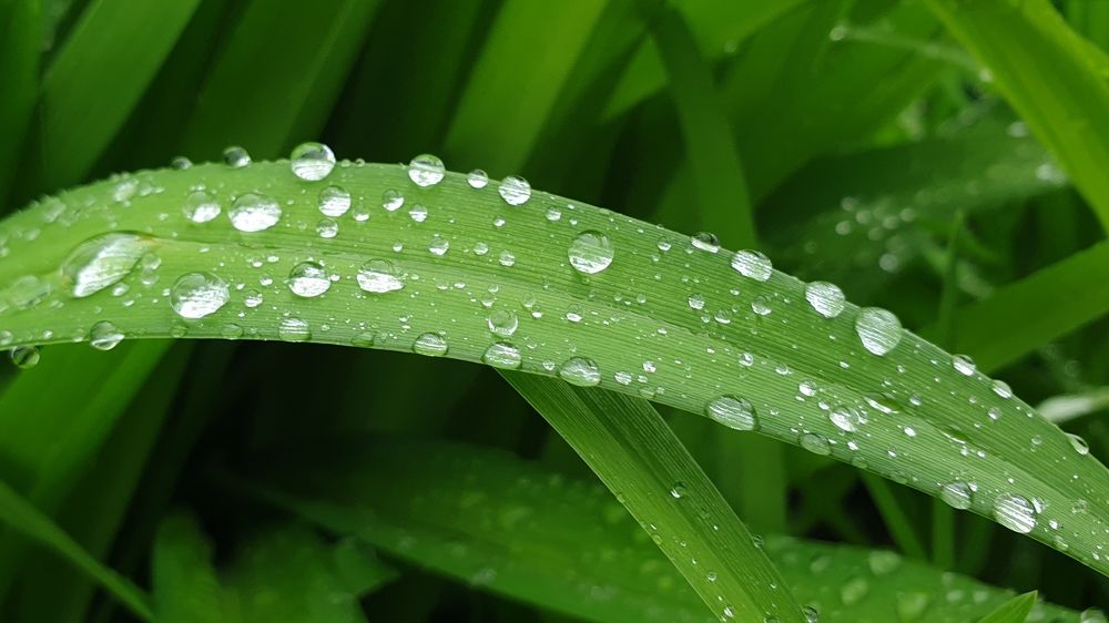 Photograph by Денис Давыдов