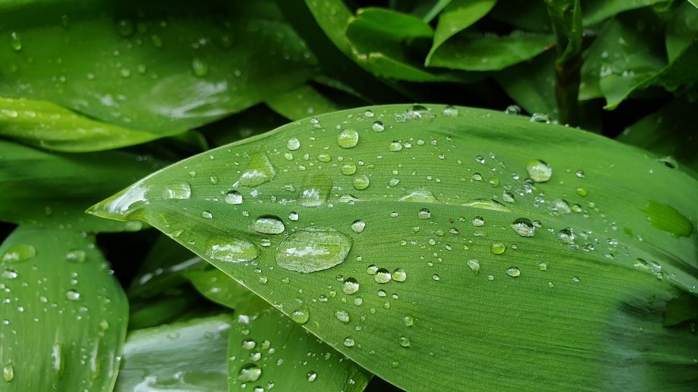 Photograph by Денис Давыдов