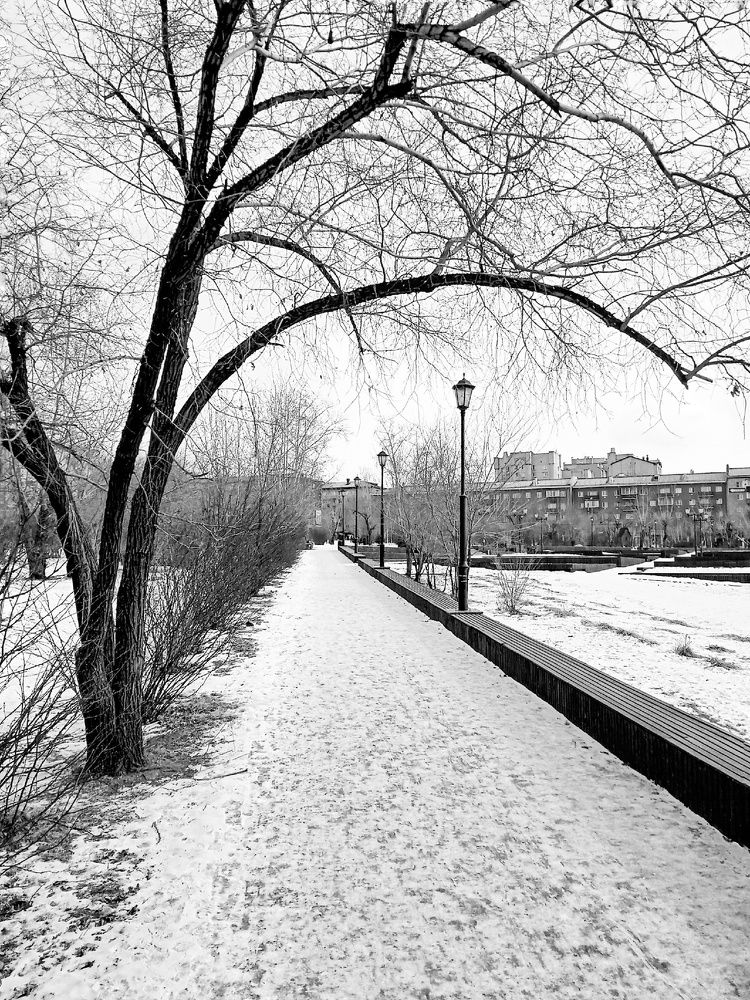 Photograph by Болдаков Сергей