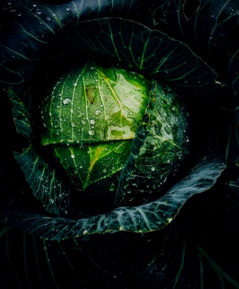 Photograph by Светлана Перминова