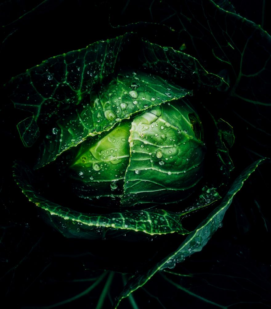 Photograph by Светлана Перминова