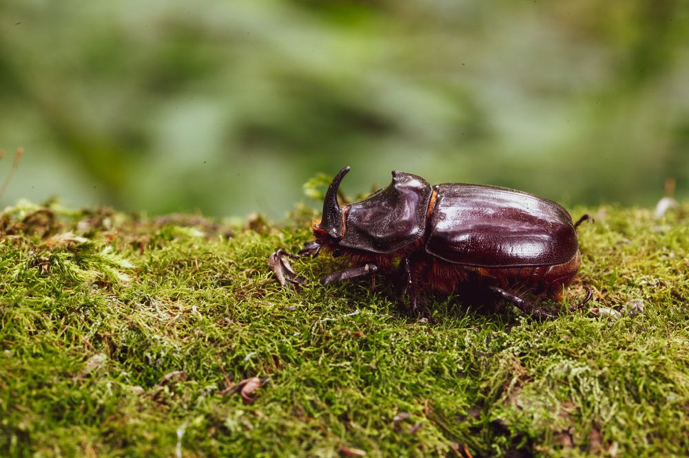 Photograph by Александр Ермаченко