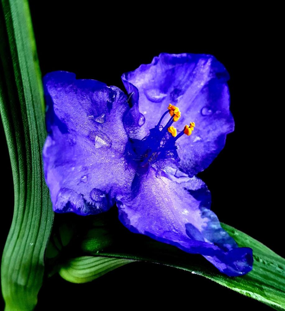 Photograph by Ирина Чувило