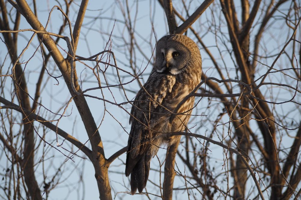 Photograph by Дмитрий Решетник