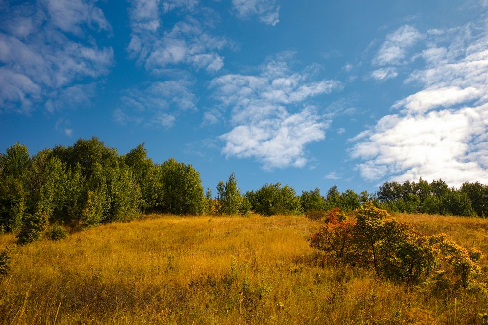 Photograph by Алла Никушкина