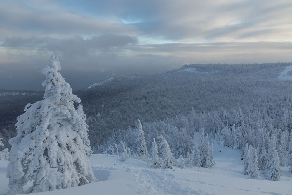 Фотография автора Анастасия Тараканова
