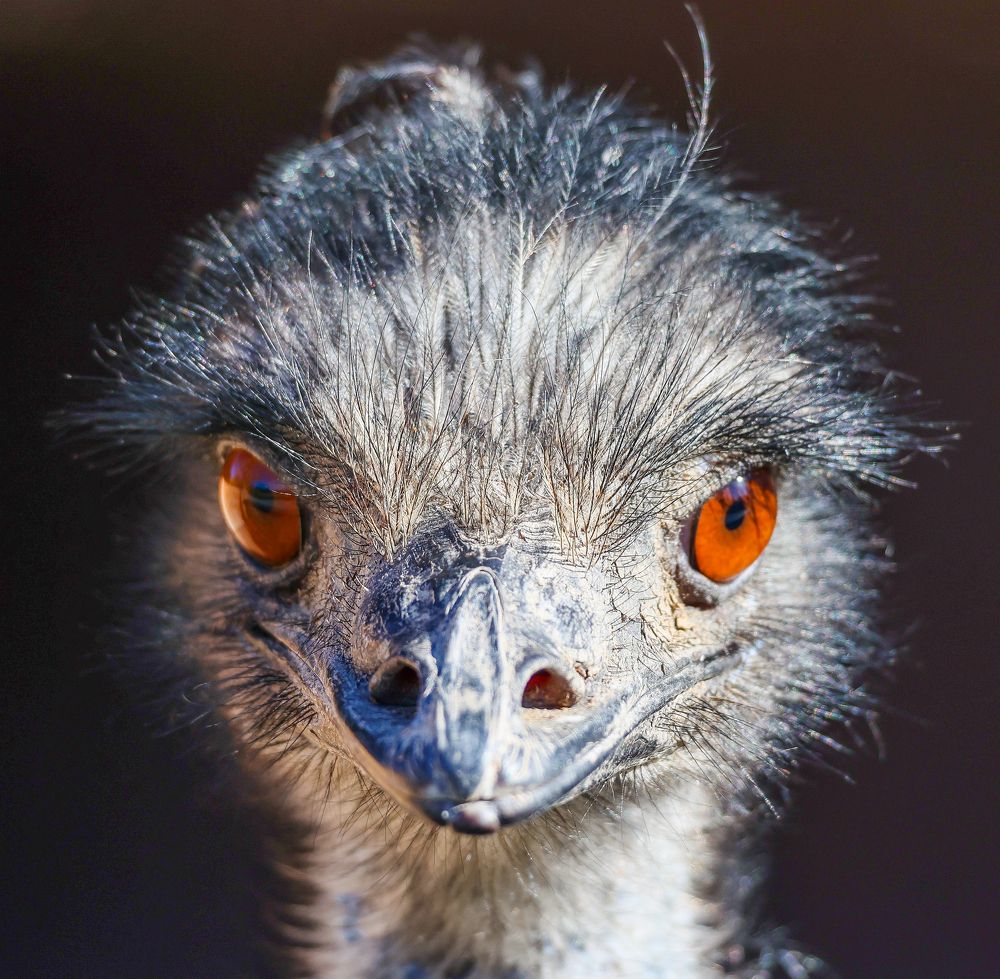 Фотография автора Sercan Özyurt