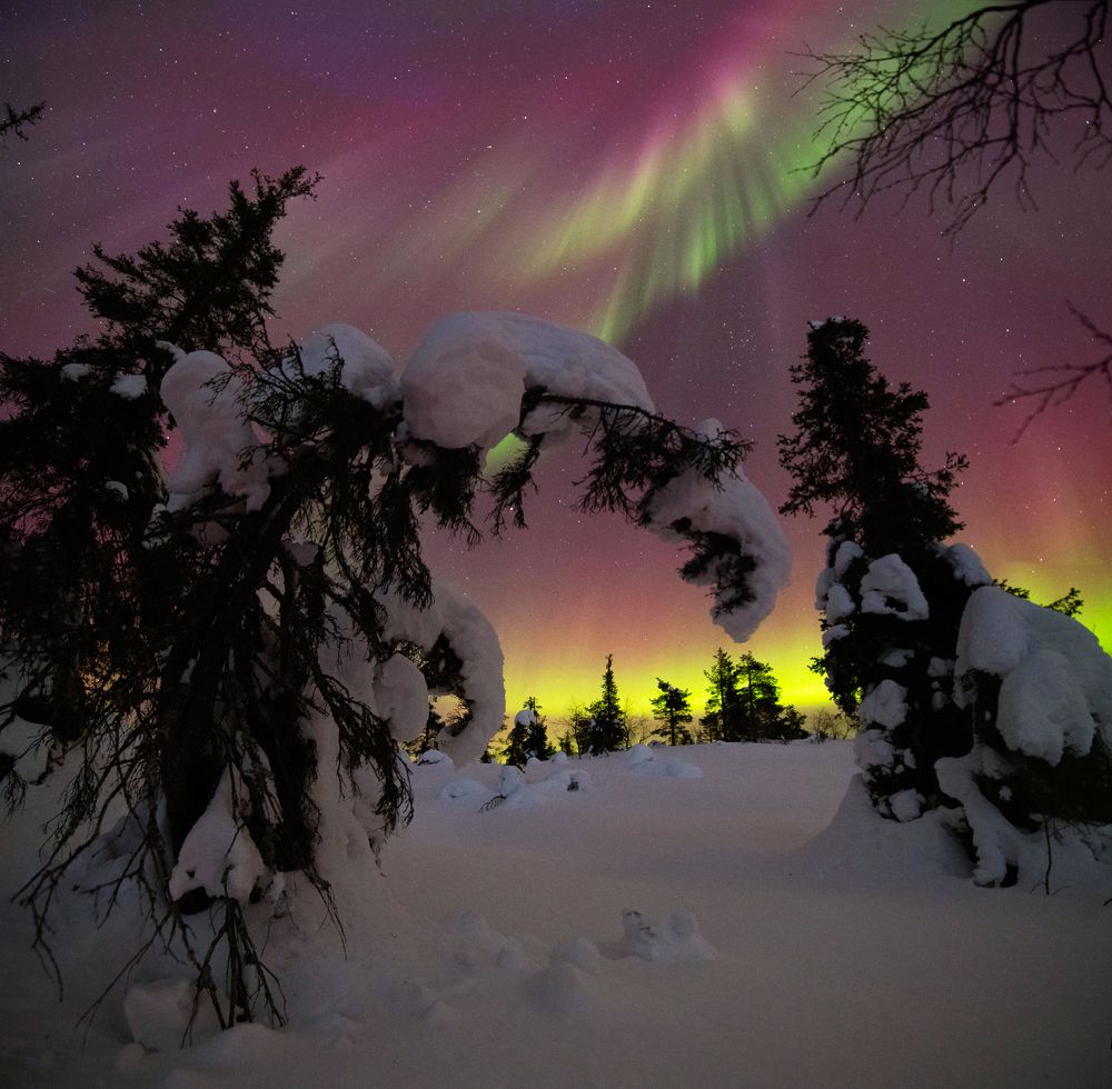 Photograph by Михаил Рева