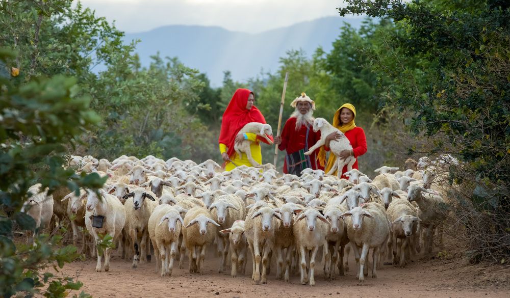 Photograph by Nguyen Thi Chieu Xuan