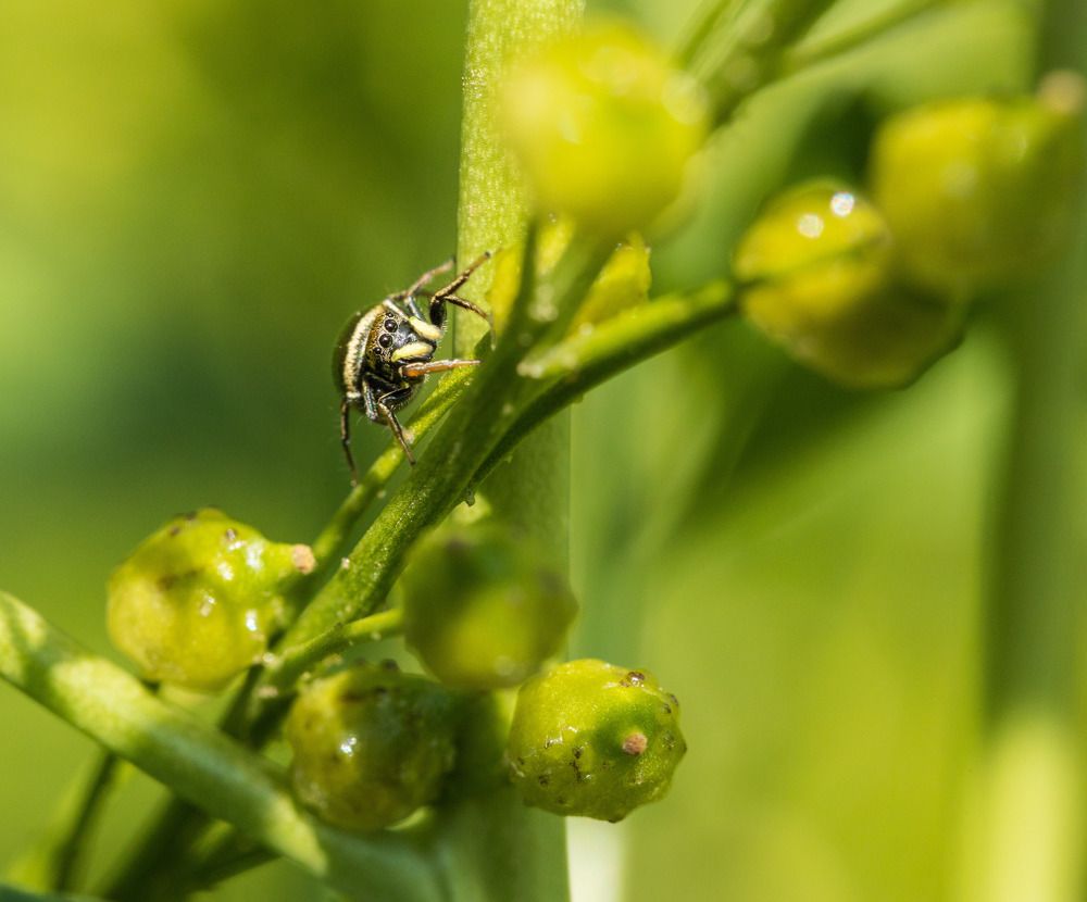 Photograph by Eric Rovell