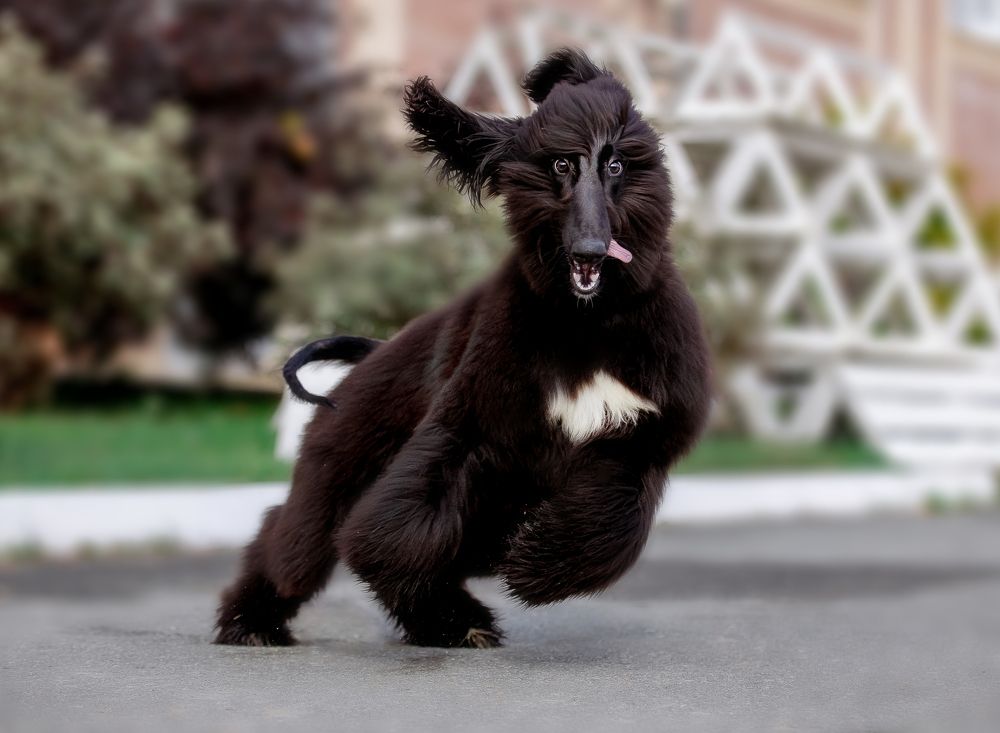 Photograph by Алиса Дружинина