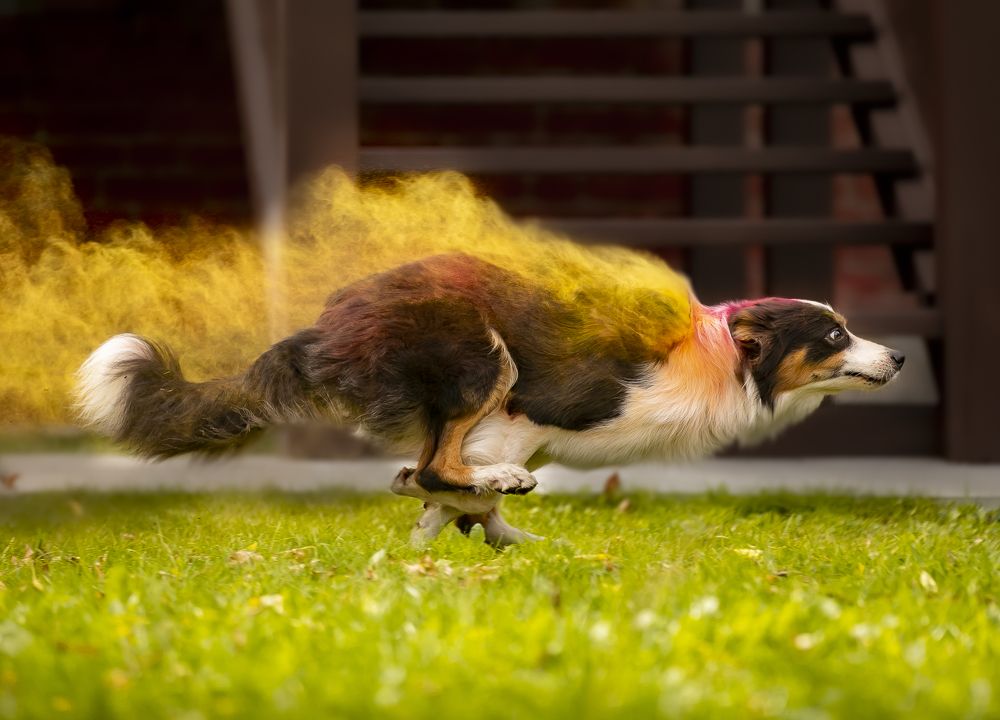 Photograph by Алиса Дружинина