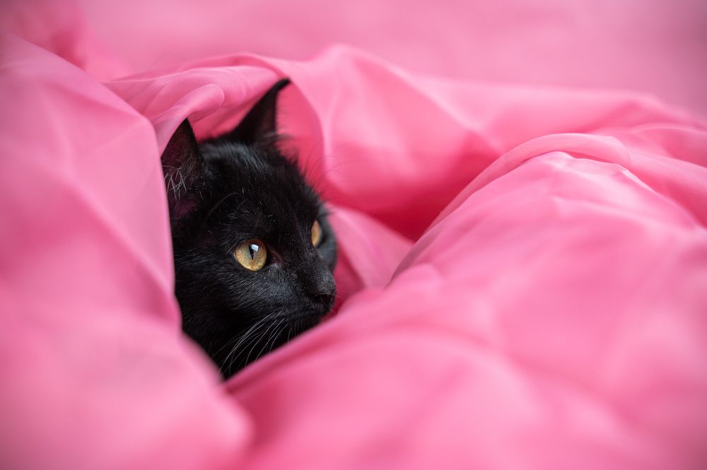 Photograph by Любовь Галушкина