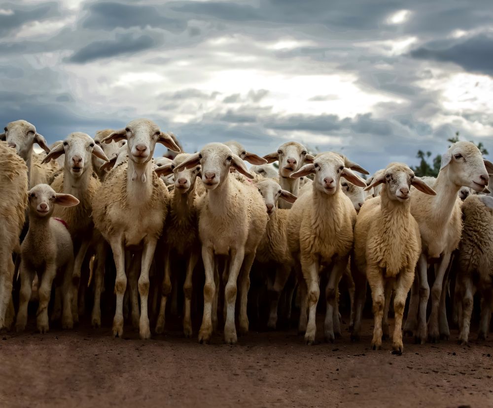 Photograph by Nguyen Thi Chieu Xuan