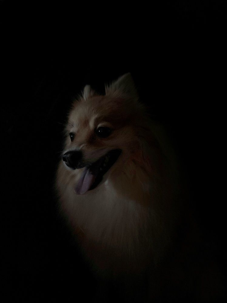 Photograph by Светлана Широкова