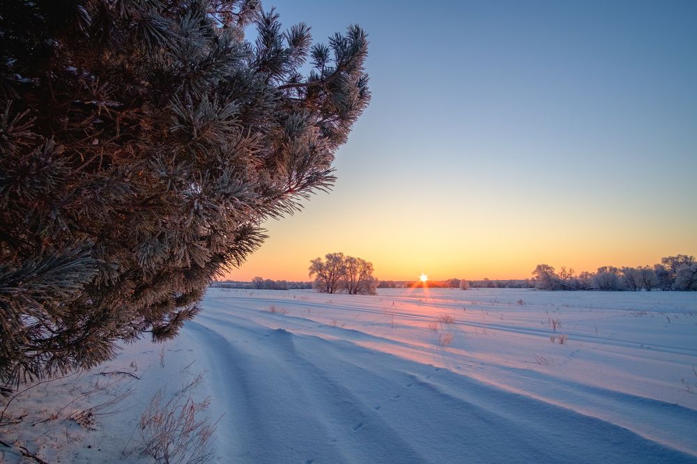 Photograph by Александр Корженков