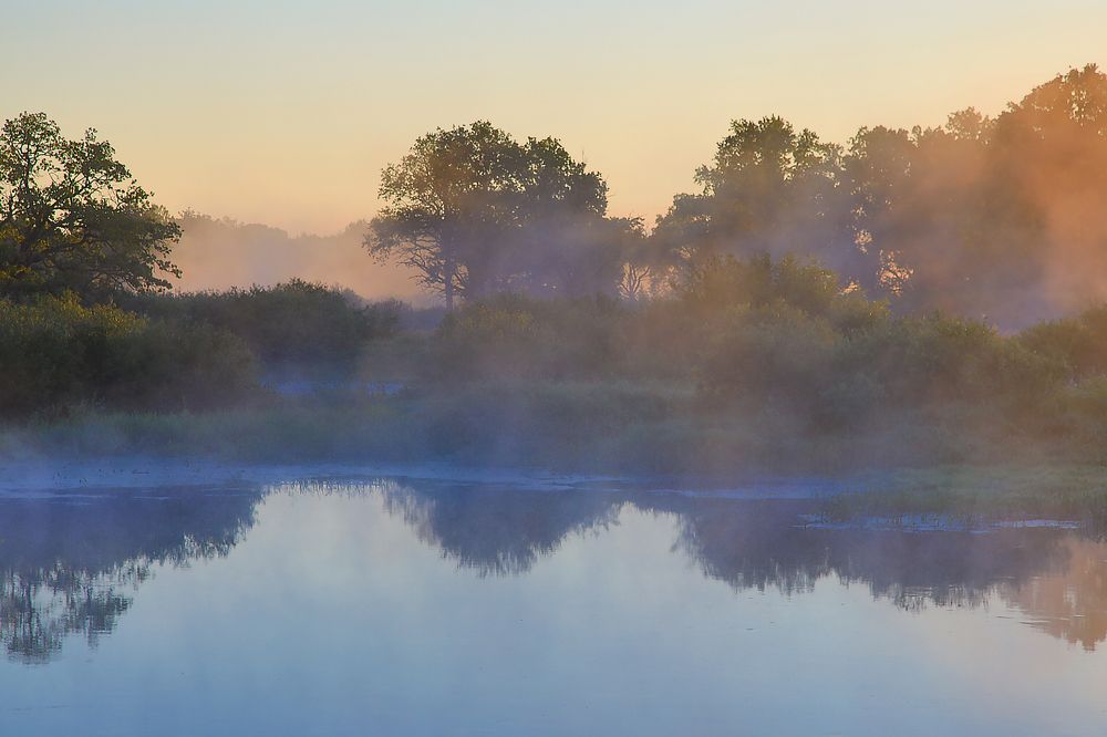 Утро. Сиреневый туман.