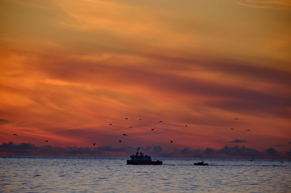 Photograph by Василий Арлашов