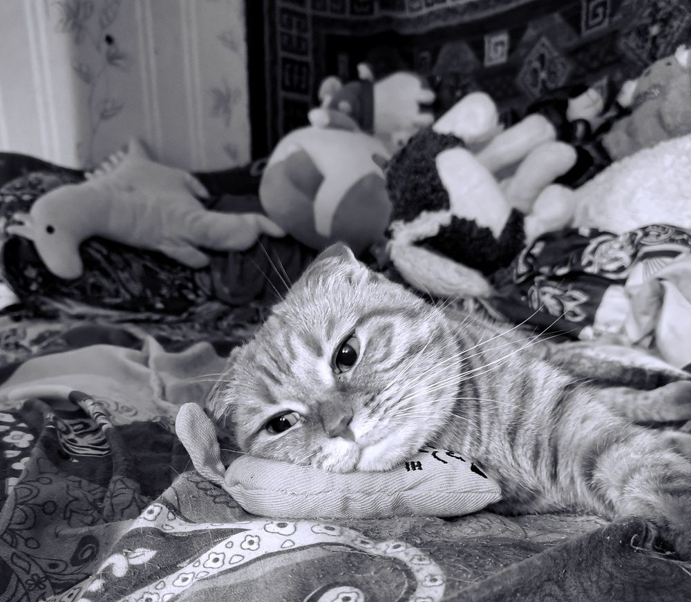 Фотография автора Валерий Цуркан