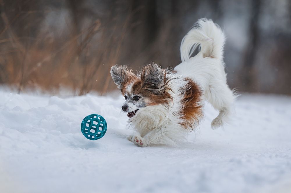 Photograph by Шитиков Владимир