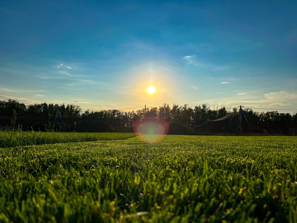 Photograph by Елена Сиушова