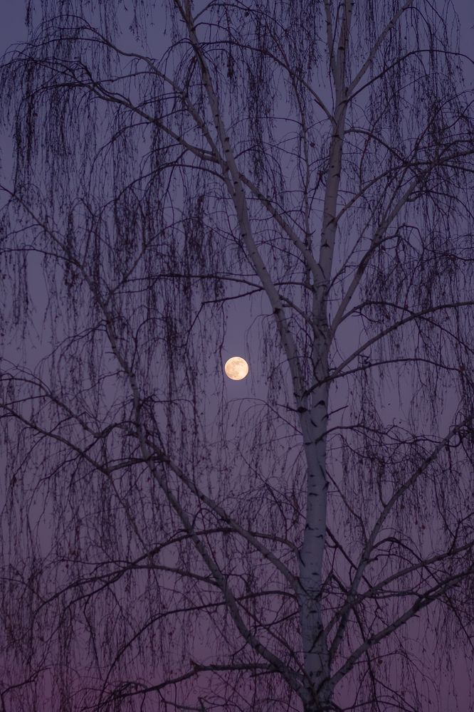 Photograph by Катерина Котт