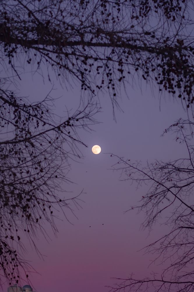 Photograph by Катерина Котт