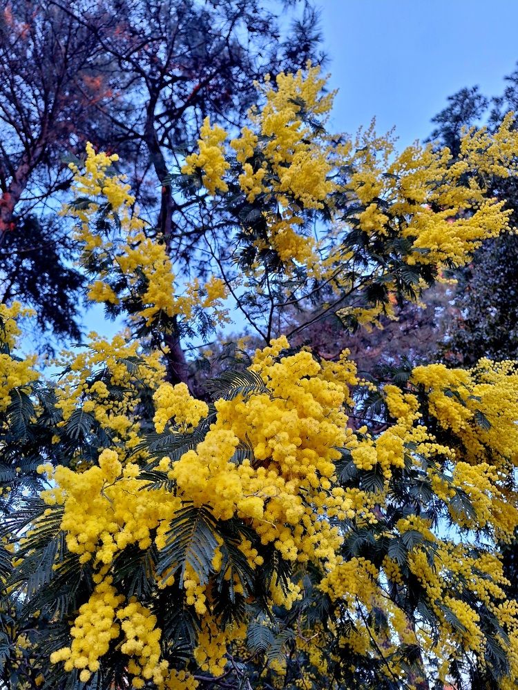 Photograph by Игорь Чечин