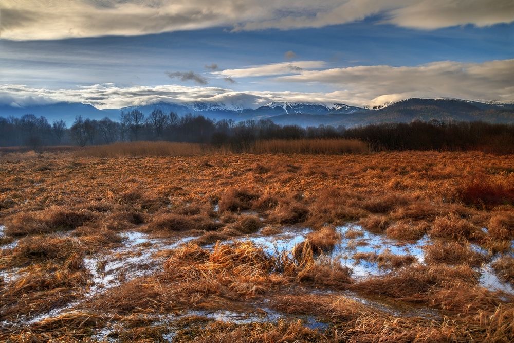 Photograph by Wydmuch Maciej